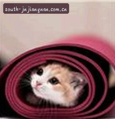 李娜